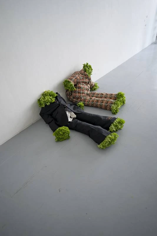 歐文．沃姆（Erwin Wurm），《維也納室內雕塑》，2020，數位影像輸出，149×99cm。-圖片